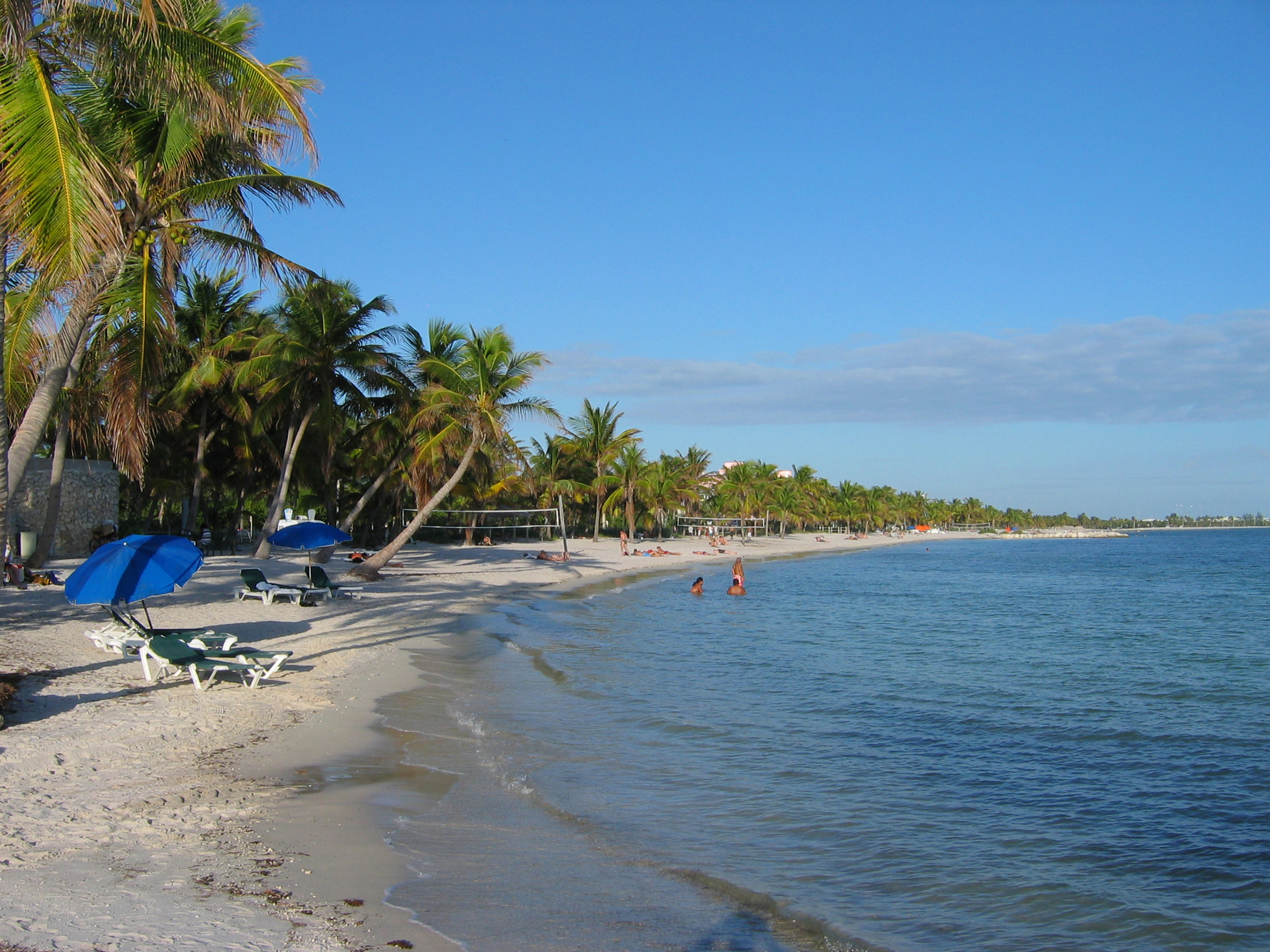 A sunny Southern Florida beach with white sand, turquoise water, swaying palm trees, and beach umbrellas along the shore.