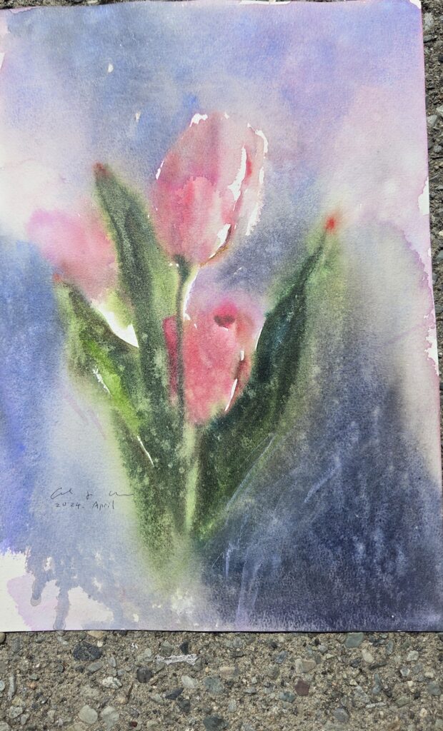A watercolour still life of two pink flower buds unfurling on a stem.