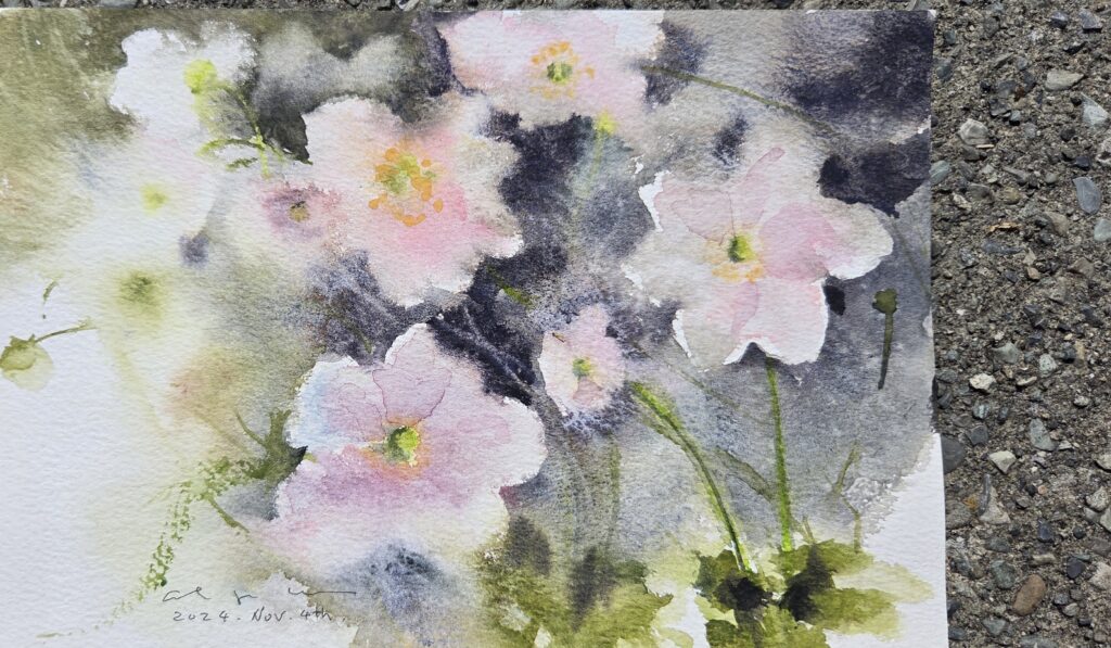 A watercolour still life of soft pink cosmos flowers.