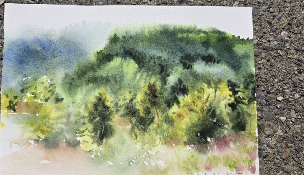 A watercolour painting of lush green foliage and trees.