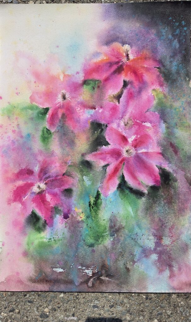 A watercolour still life of vivid pink clematis flowers.